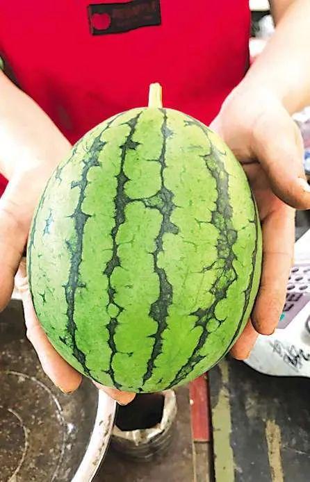 最新济南吃瓜事件,一场网络热议背后的真相揭秘 第3张 最新济南吃瓜事件,一场网络热议背后的真相揭秘 第3张