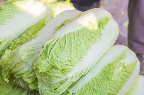 长垣吃大瓜,探寻“吃大瓜”的独特魅力  第2张