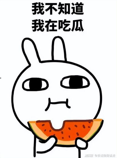 吃瓜 旺柴 666  第3张