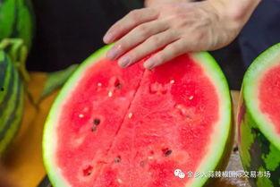 全国大学吃瓜,校园热点事件大盘点  第2张