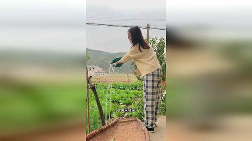 下雨吃瓜的少年,少年雨后吃瓜的悠闲时光 第3张 下雨吃瓜的少年,少年雨后吃瓜的悠闲时光 第3张