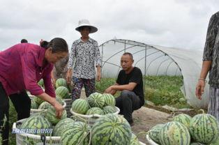 灌南吃瓜群众,揭秘当地热点事件背后的真相 第3张 灌南吃瓜群众,揭秘当地热点事件背后的真相 第3张