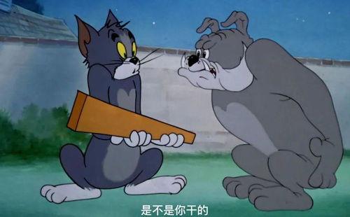 吃瓜的杰瑞 第2张 吃瓜的杰瑞 第2张