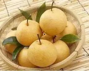 小孩吃梨瓜发烧,家长需警惕的饮食安全 第3张 小孩吃梨瓜发烧,家长需警惕的饮食安全 第3张