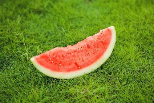 吃瓜后舌头难受,揭秘夏日消暑美食的副作用  第3张