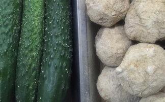 周口市吃瓜 第2张 周口市吃瓜 第2张