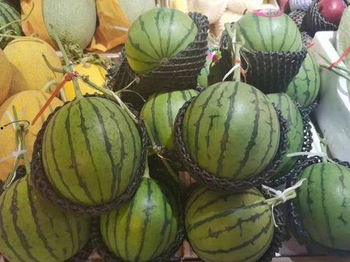 光遇正巫吃瓜,揭秘神秘巫师背后的趣味生活 第2张 光遇正巫吃瓜,揭秘神秘巫师背后的趣味生活 第2张