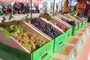 吃瓜王和瓜王一样吗,揭秘两者之间的异同  第3张