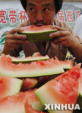 吃瓜比赛3,瓜界巅峰对决,谁将问鼎瓜王宝座? 第2张 吃瓜比赛3,瓜界巅峰对决,谁将问鼎瓜王宝座? 第2张