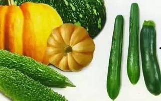 摘杏吃瓜视频大全,视频大全带你领略田园风光 第2张 摘杏吃瓜视频大全,视频大全带你领略田园风光 第2张