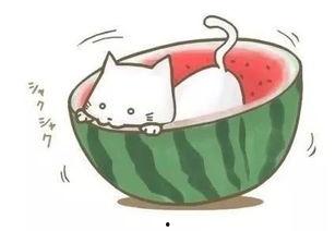 吃瓜的中国球,瓜田里的中国足球风云录 第1张 吃瓜的中国球,瓜田里的中国足球风云录 第1张