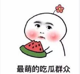 吃瓜群众范娜娜,揭秘娱乐圈幕后故事 第3张 吃瓜群众范娜娜,揭秘娱乐圈幕后故事 第3张