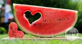 免费吃瓜网 第1张 免费吃瓜网 第1张