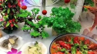 诸城摆摊火锅吃瓜,摆摊吃瓜成潮流  第2张